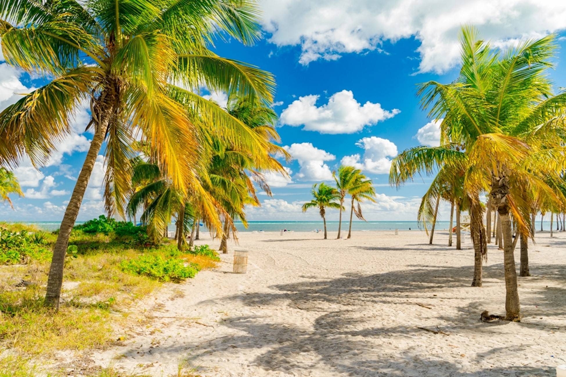 Why Dunedin, FL is a Great Place to Move: Tips from Local Movers