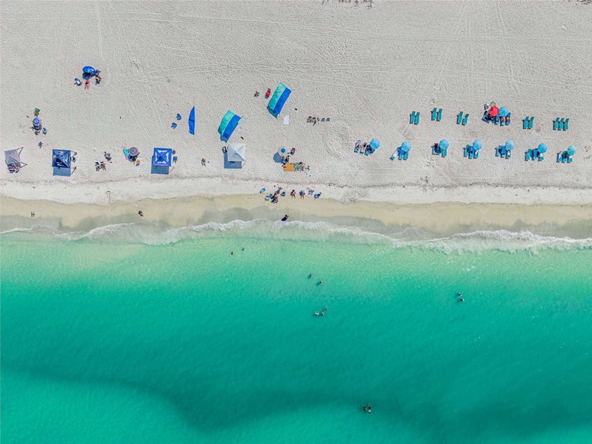 Everything You Need to Know About Moving Services in Holmes Beach, FL