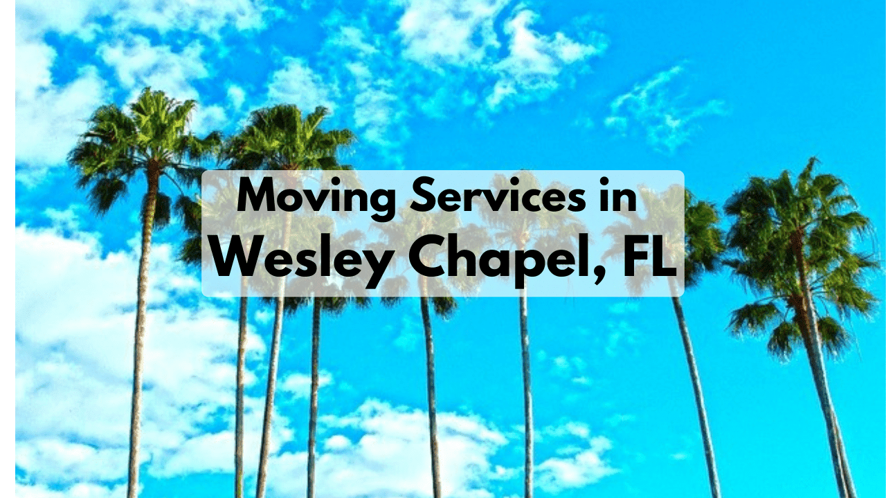 Your Comprehensive Guide to Moving Services in Wesley Chapel, FL