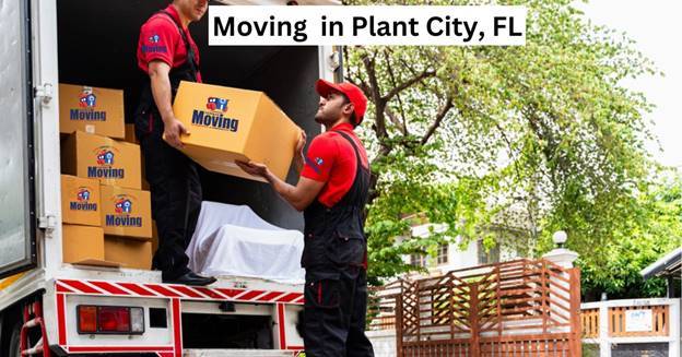 What’s the Hidden Moving Cost in Plant City, FL?