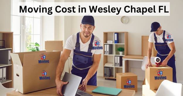 Living in Apollo Beach: Relocation Guide for Movers