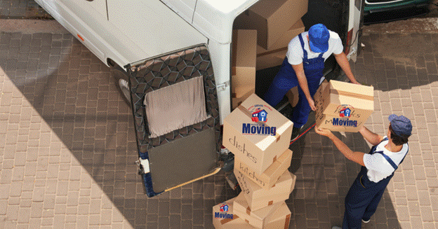  Moving Cost in Palm Harbor, FL,