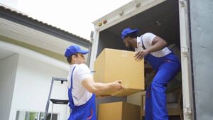 Brandon, FL professionals movers
